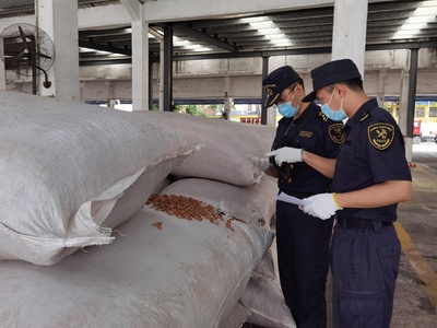 老港海關查獲6.3噸禁入固體廢物，軟木制品制造原料藏隱患